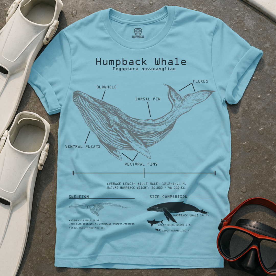 Humpback Whale Anatomy T-Shirt
