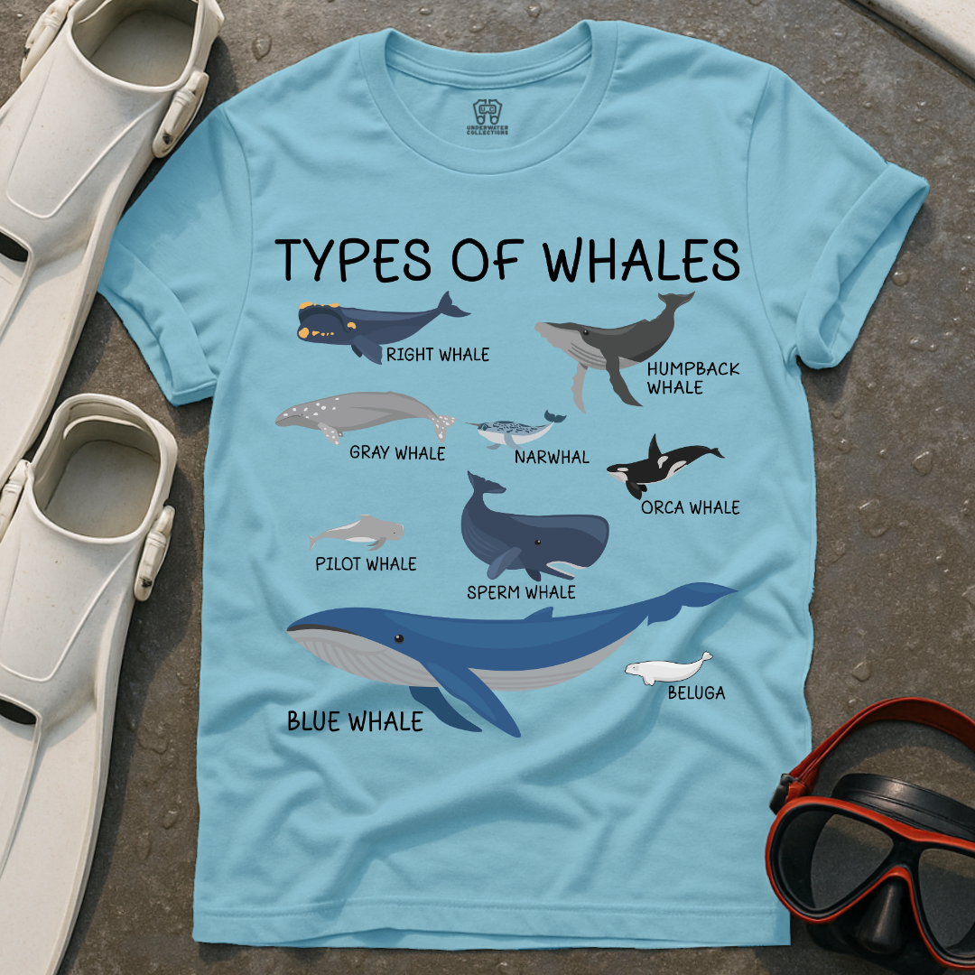 Types Of Whales T-Shirt